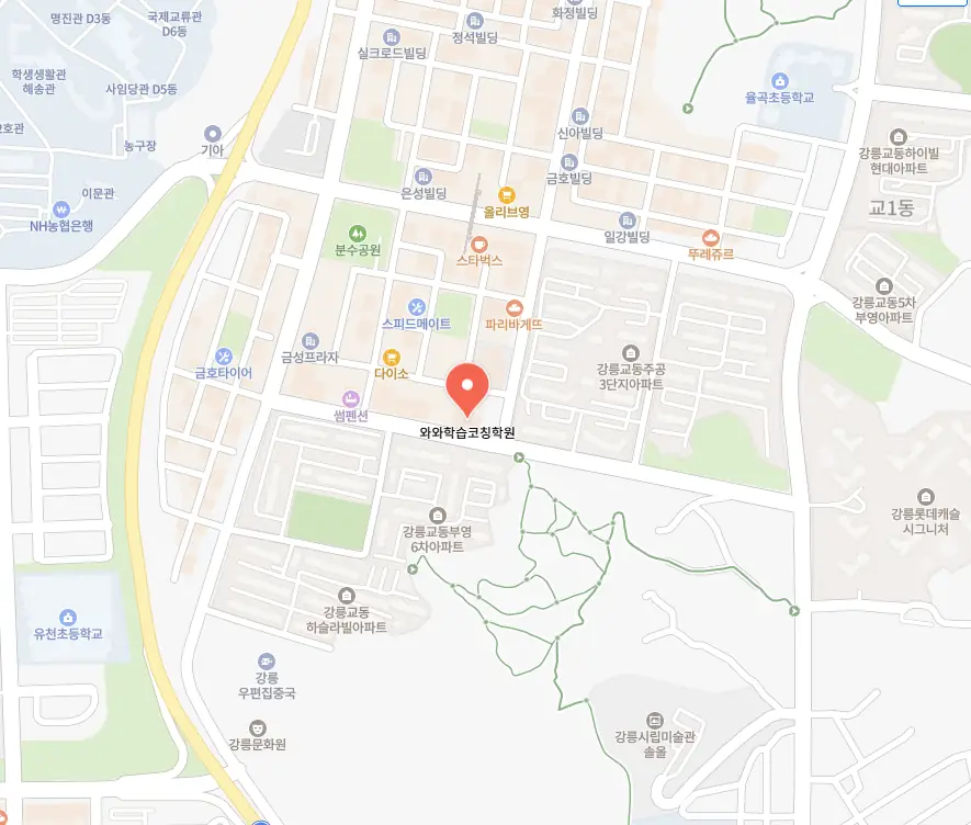 강릉교동 중등 영어학원 위치
